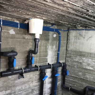 361062876_1346001836127743_7112842445255711112_n