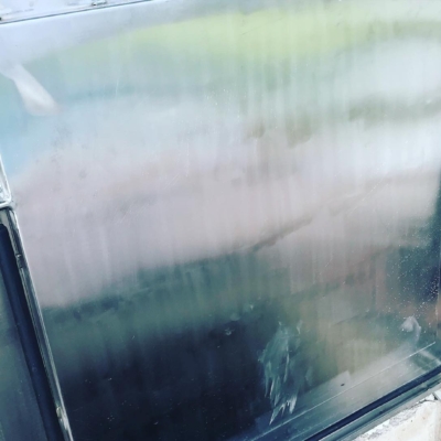 361185114_249610891197825_1021205699981846283_n